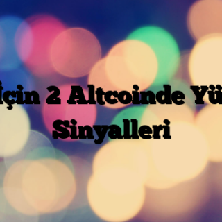 2025 İçin 2 Altcoinde Yükseliş Sinyalleri
