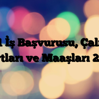 A101 İş Başvurusu, Çalışma Şartları ve Maaşları 2021