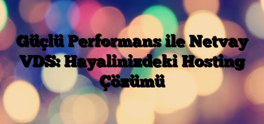 Güçlü Performans ile Netvay VDS: Hayalinizdeki Hosting Çözümü